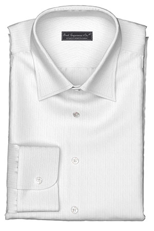 WRINKLE FREE TC ホワイト ドビー ドットストライプ (Y100963)