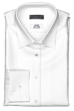 GIZA 100/2ply ホワイトキリン柄ドビー(Y101737)GIZA-NEW
